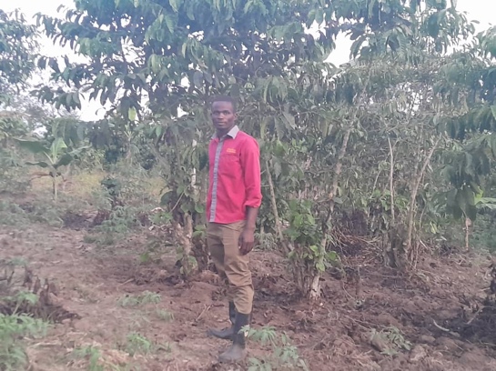 Peter at their tomato and coffee gardens